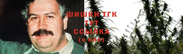 амф Богородск