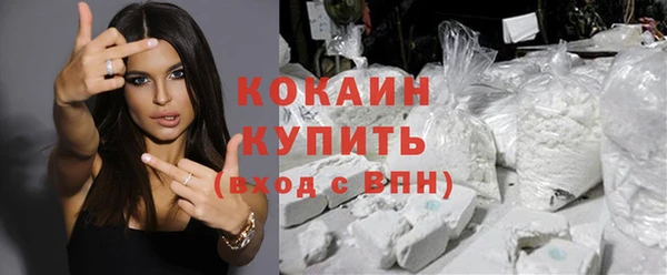 спайс Богданович