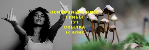 стаф Белоозёрский