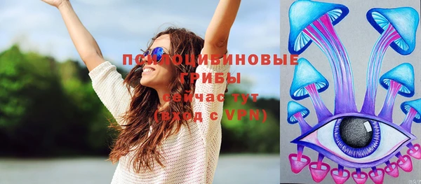 МДПВ Тайга