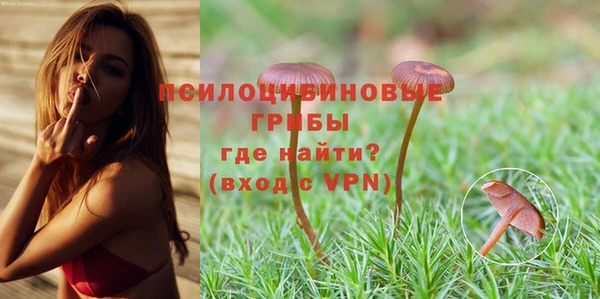 спайс Богданович