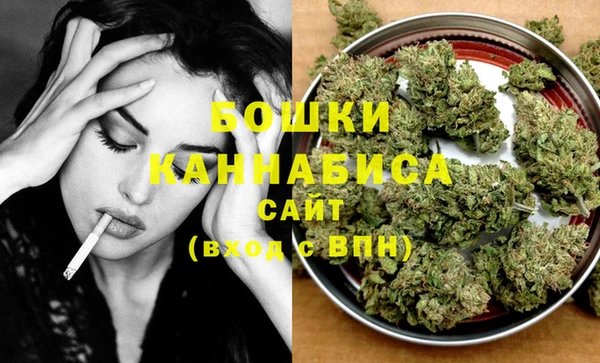 спайс Богданович