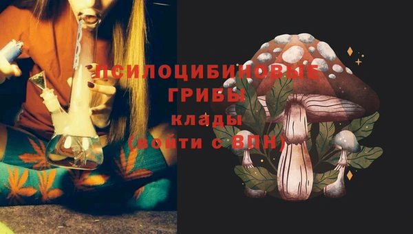 метадон Белокуриха