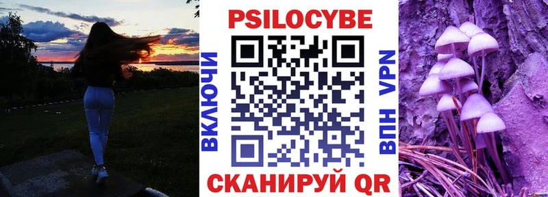 наркотики  Городовиковск  Галлюциногенные грибы ЛСД 